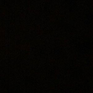 Meet your Posher, Mollie